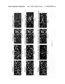 Methods for modulating Eicosanoid metabolism diagram and image