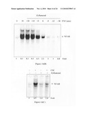 Methods for modulating Eicosanoid metabolism diagram and image