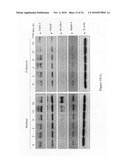 Methods for modulating Eicosanoid metabolism diagram and image