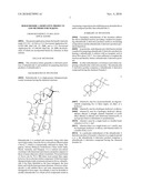 REBAUDIOSIDE A DERIVATIVE PRODUCTS AND METHODS FOR MAKING diagram and image