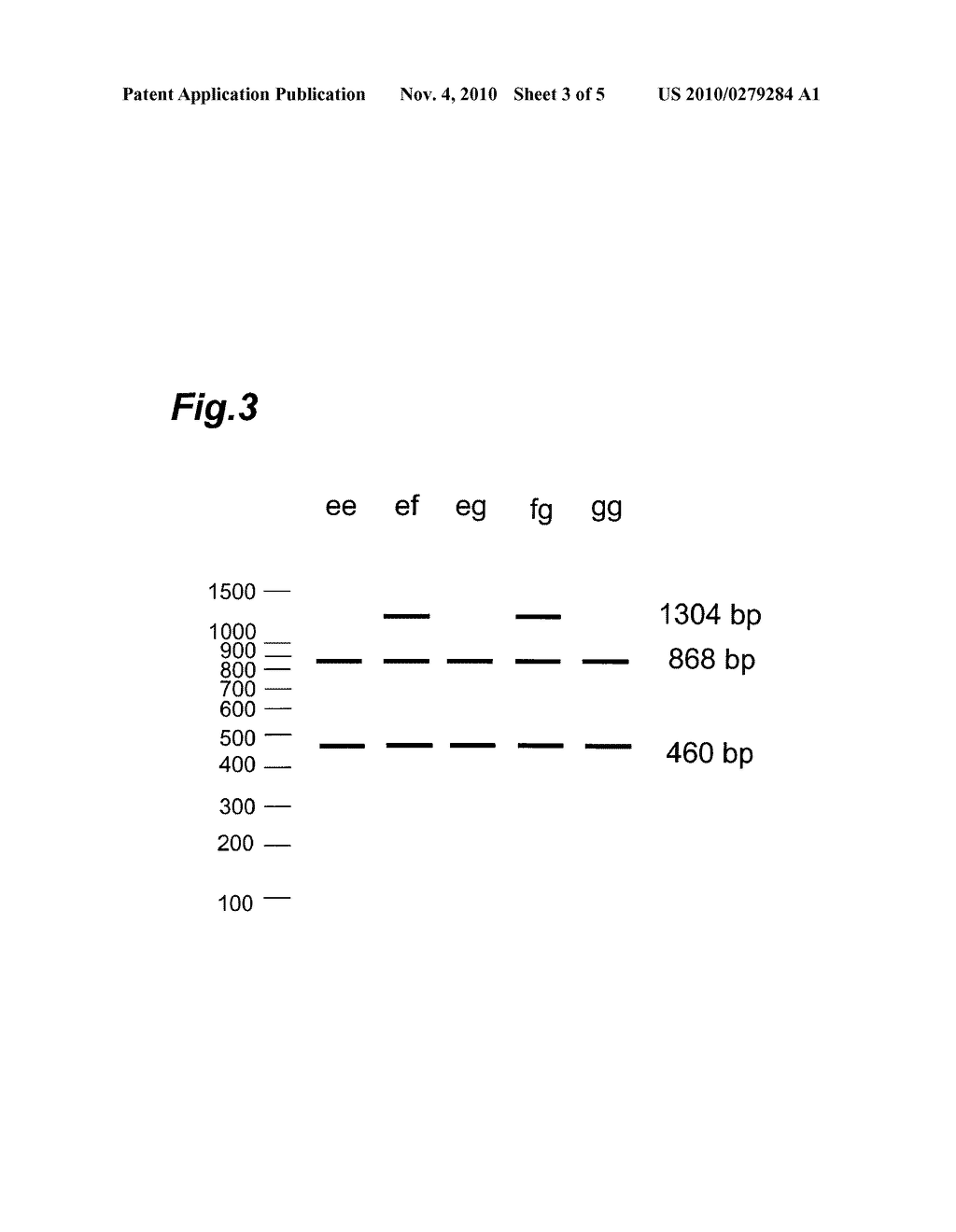 METHOD FOR SELECTING HOP LINE AND BREEDING MARKER AND PRIMER SET USED FOR SELECTING HOP LINE - diagram, schematic, and image 04