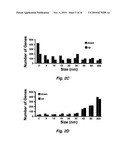 SIZE-DEPENDENT BIOLOGICAL EFFECT OF NANOPARTICLES diagram and image