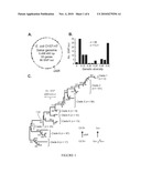 METHODS OF DETECTING AND GENOTYPING ESCHERICHIA COLI O157:H7 diagram and image