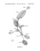 METHODS OF DETECTING AND GENOTYPING ESCHERICHIA COLI O157:H7 diagram and image