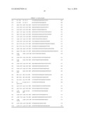 METHODS OF DETECTING AND GENOTYPING ESCHERICHIA COLI O157:H7 diagram and image