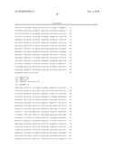 METHODS OF DETECTING AND GENOTYPING ESCHERICHIA COLI O157:H7 diagram and image