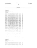 METHODS OF DETECTING AND GENOTYPING ESCHERICHIA COLI O157:H7 diagram and image