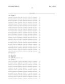 METHODS OF DETECTING AND GENOTYPING ESCHERICHIA COLI O157:H7 diagram and image