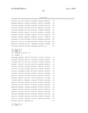 METHODS OF DETECTING AND GENOTYPING ESCHERICHIA COLI O157:H7 diagram and image