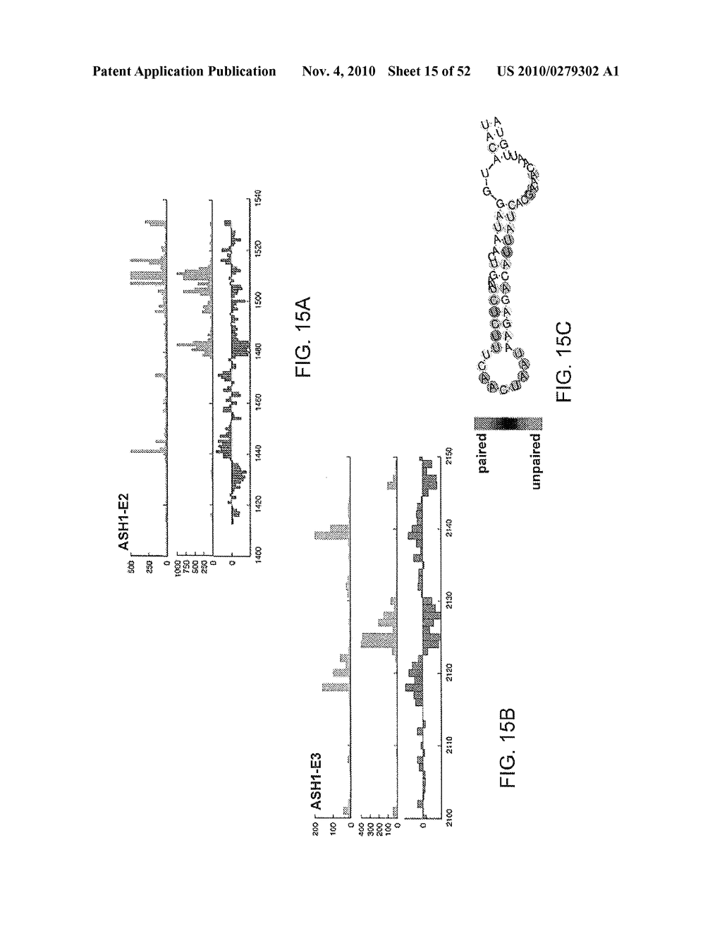 METHODS OF PREDICTING PAIRABILITY AND SECONDARY STRUCTURES OF RNA MOLECULES - diagram, schematic, and image 16