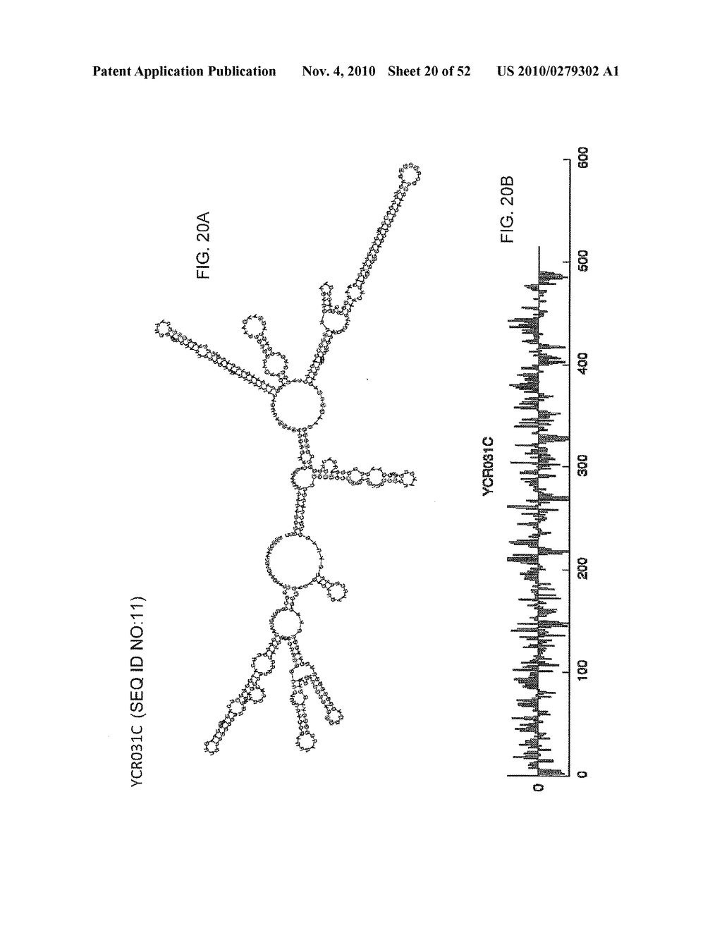 METHODS OF PREDICTING PAIRABILITY AND SECONDARY STRUCTURES OF RNA MOLECULES - diagram, schematic, and image 21