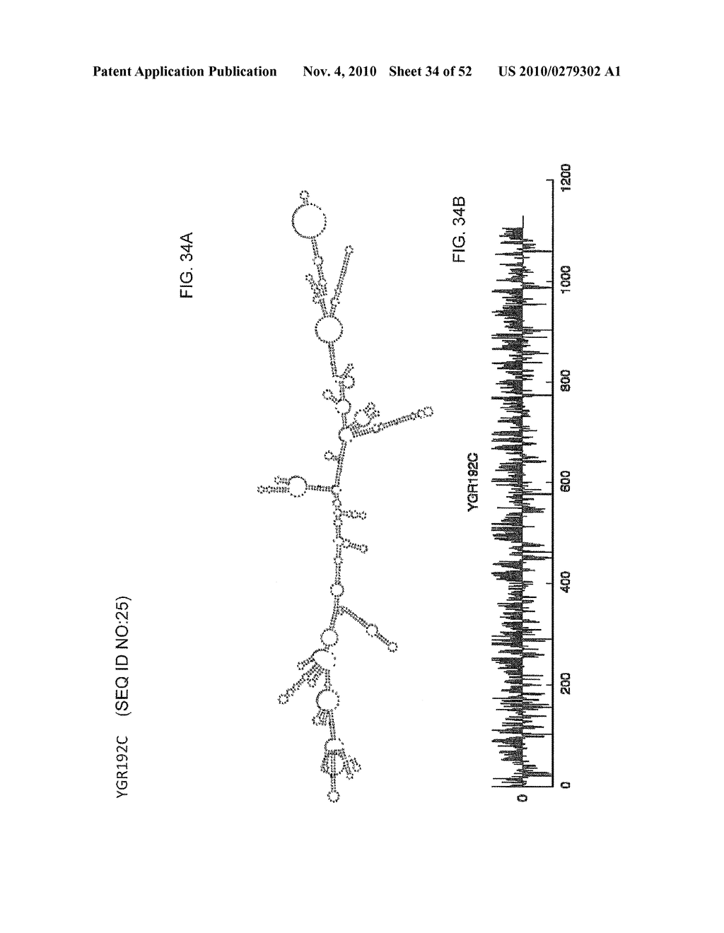 METHODS OF PREDICTING PAIRABILITY AND SECONDARY STRUCTURES OF RNA MOLECULES - diagram, schematic, and image 35