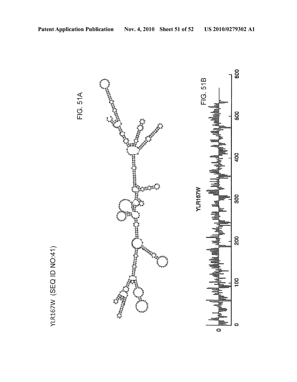 METHODS OF PREDICTING PAIRABILITY AND SECONDARY STRUCTURES OF RNA MOLECULES - diagram, schematic, and image 52