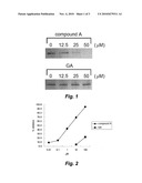 METHOD FOR SCREENING OF CELL-PROTECTING AGENT diagram and image