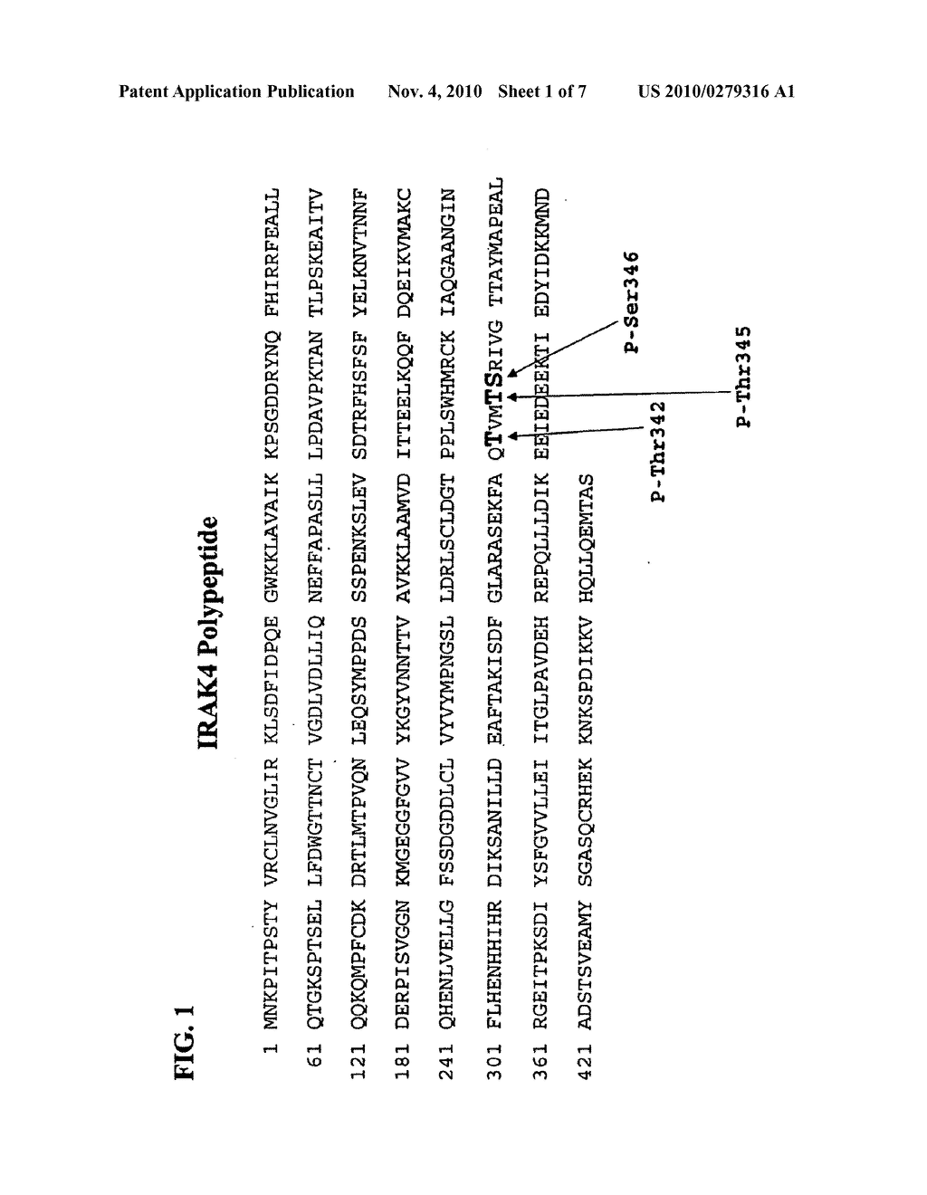 Antibodies to Phosphorylated IRAK4 - diagram, schematic, and image 02