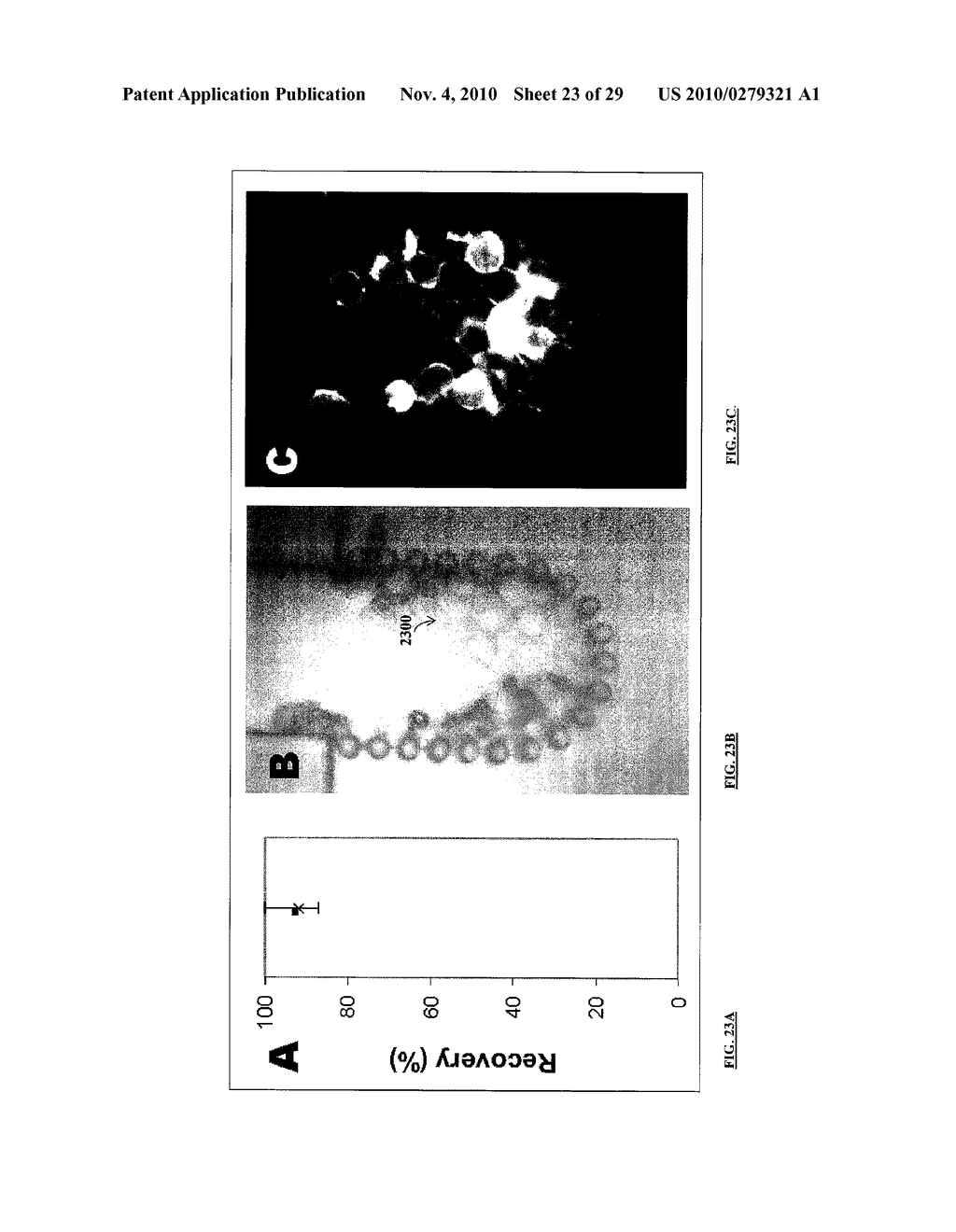 METHODS AND APPARATUS FOR THE ISOLATION AND ENRICHMENT OF CIRCULATING TUMOR CELLS - diagram, schematic, and image 24