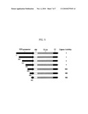 AUT0-INDUCIBLE SODIUM PHOSPHATE SYMPORTER PROMOTER FROM PICHIA PASTORIS AND METHOD FOR PRODUCING RECOMBINANT PROTEIN USING IT diagram and image