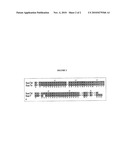 Sso7-Polymerase Conjugate Proteins diagram and image