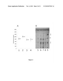 Soybean-Based Fermentation Media, Methods of Making And Use diagram and image