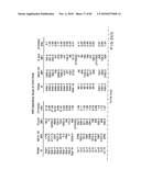 DIAGNOSTIC TEST FOR WEST NILE VIRUS diagram and image