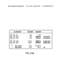 DIAGNOSTIC TEST FOR WEST NILE VIRUS diagram and image