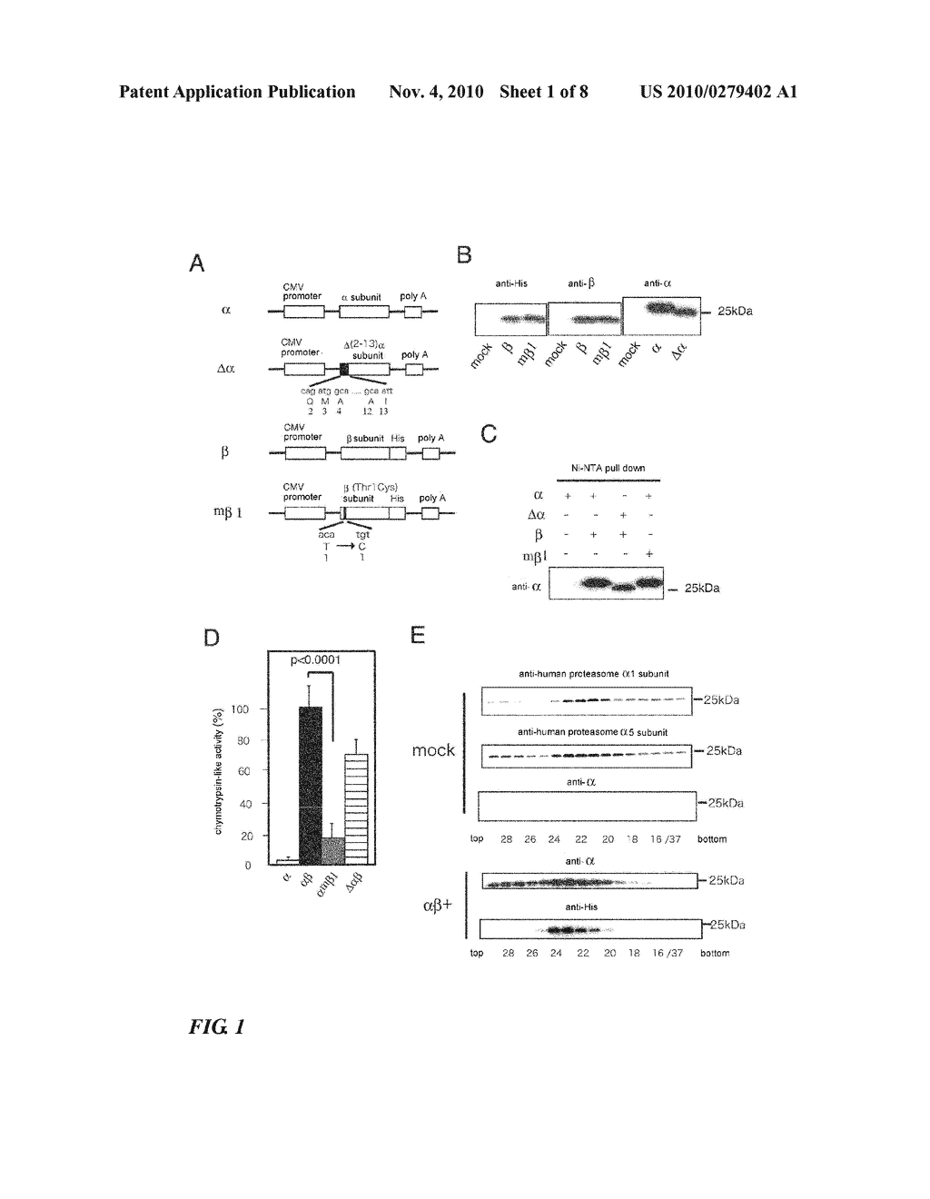 Expression Construct for Digesting Aggregating Protein and Method of Inhibiting the Aggregation of Aggregating Protein - diagram, schematic, and image 02