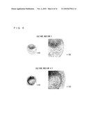 CULTURE MEDIUM ADDITIVE FOR USE IN SERUM-FREE CULTURING OF ANIMAL CELL, KIT AND USE THEREOF diagram and image