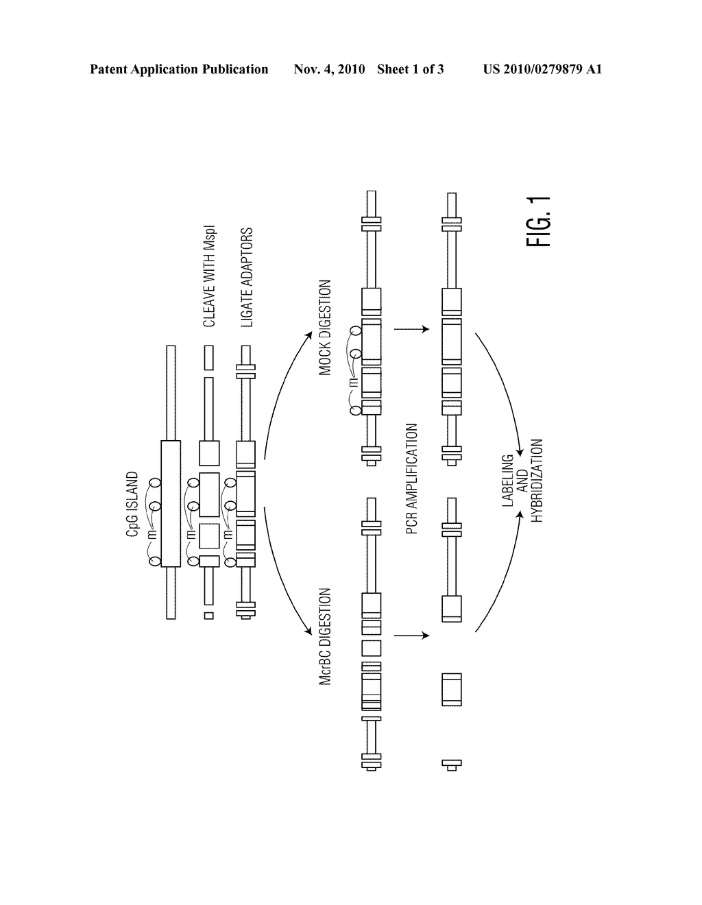 METHOD FOR THE ANALYSIS OF BREAST CANCER DISORDERS - diagram, schematic, and image 02