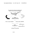 Epitope-mediated antigen prediction diagram and image