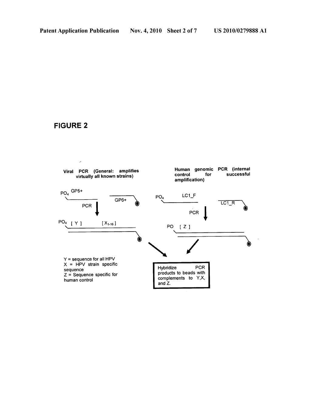 COMPOSITIONS AND METHODS OF DETECTION - diagram, schematic, and image 03