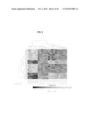 METHODS TO DETERMINE IF A SUBJECT WILL RESPOND TO A BCR-ABL INHIBITOR diagram and image