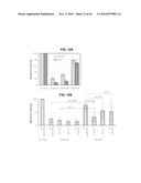 METHODS TO DETERMINE IF A SUBJECT WILL RESPOND TO A BCR-ABL INHIBITOR diagram and image