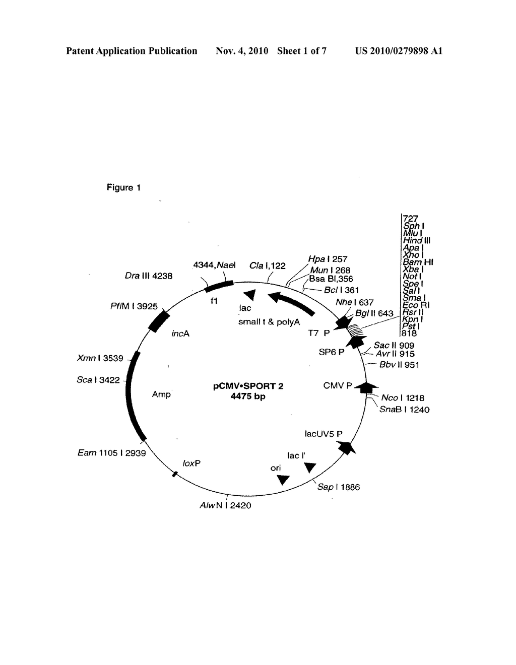 NORMALIZED NUCLEIC ACID LIBRARIES AND METHODS OF PRODUCTION THEREOF - diagram, schematic, and image 02