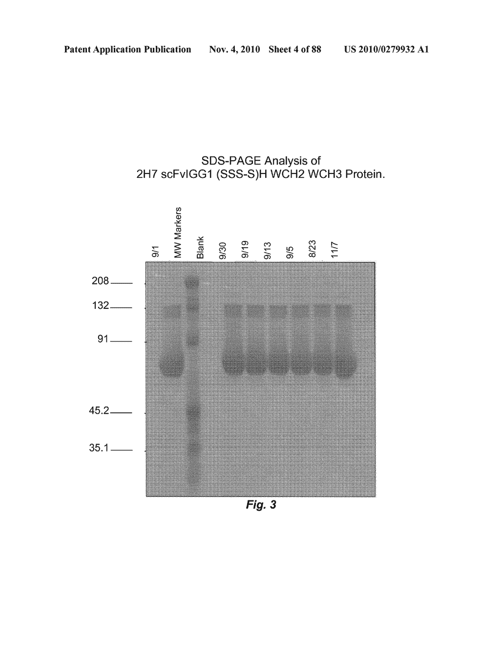 BINDING CONSTRUCTS AND METHODS FOR USE THEREOF - diagram, schematic, and image 05