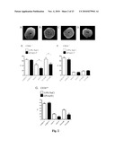 CD36 MODULATION AND USES THEREOF diagram and image