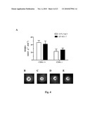 CD36 MODULATION AND USES THEREOF diagram and image