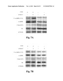 CD36 MODULATION AND USES THEREOF diagram and image