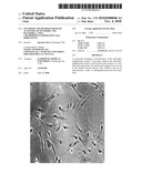 SYNTHESIS AND PHARMACOKINETIC ACTIVITIES OF PULMODIL AND PULMODIL-1, TWO CHLOROPHENYLPIPERAZINE SALT DERIVATIVES diagram and image