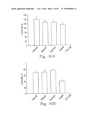 RHOKINASE-DEPENDENT INHIBITION ACTIVITY ON PULMONARY ARTERY ENDOTHELIUM DYSFUNCTION, MEDIAL WALL THICKNESS AND VASCULAR OBSTRUCTION OF PULMODIL AND PULMODIL-1 diagram and image