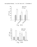 RHOKINASE-DEPENDENT INHIBITION ACTIVITY ON PULMONARY ARTERY ENDOTHELIUM DYSFUNCTION, MEDIAL WALL THICKNESS AND VASCULAR OBSTRUCTION OF PULMODIL AND PULMODIL-1 diagram and image