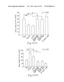 RHOKINASE-DEPENDENT INHIBITION ACTIVITY ON PULMONARY ARTERY ENDOTHELIUM DYSFUNCTION, MEDIAL WALL THICKNESS AND VASCULAR OBSTRUCTION OF PULMODIL AND PULMODIL-1 diagram and image