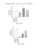 RHOKINASE-DEPENDENT INHIBITION ACTIVITY ON PULMONARY ARTERY ENDOTHELIUM DYSFUNCTION, MEDIAL WALL THICKNESS AND VASCULAR OBSTRUCTION OF PULMODIL AND PULMODIL-1 diagram and image