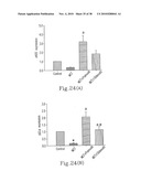 RHOKINASE-DEPENDENT INHIBITION ACTIVITY ON PULMONARY ARTERY ENDOTHELIUM DYSFUNCTION, MEDIAL WALL THICKNESS AND VASCULAR OBSTRUCTION OF PULMODIL AND PULMODIL-1 diagram and image