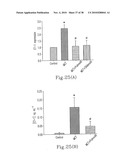 RHOKINASE-DEPENDENT INHIBITION ACTIVITY ON PULMONARY ARTERY ENDOTHELIUM DYSFUNCTION, MEDIAL WALL THICKNESS AND VASCULAR OBSTRUCTION OF PULMODIL AND PULMODIL-1 diagram and image