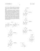 PYRAZOLOPYRIDINES AS KINASE INHIBITORS diagram and image