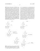 PYRAZOLOPYRIDINES AS KINASE INHIBITORS diagram and image