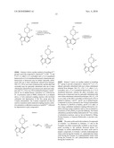 PYRAZOLOPYRIDINES AS KINASE INHIBITORS diagram and image