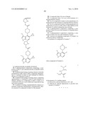 PYRAZOLOPYRIDINES AS KINASE INHIBITORS diagram and image