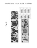 Gold binding peptides and shape-and size-tunable synthesis of gold nanostructures diagram and image