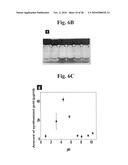 Gold binding peptides and shape-and size-tunable synthesis of gold nanostructures diagram and image